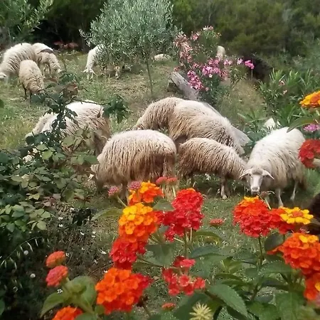 Relax In Campagna A Due Passi Dal Mare Lavanda Appartement *